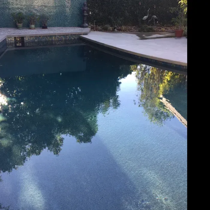 Backyard swimming pool with still blue water, patio edge, and trees reflected on the surface