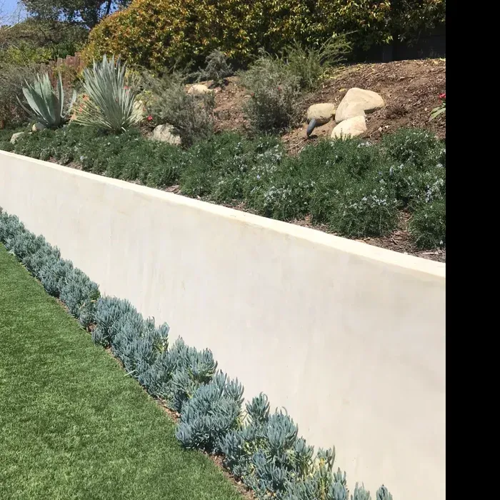 Sloped landscaped garden with succulents, rocks, and a white retaining wall beside green lawn