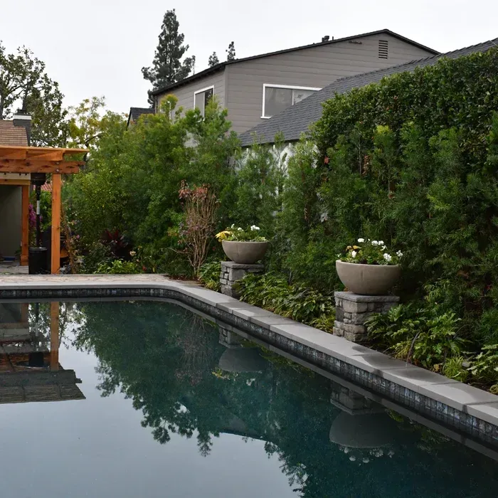 Backyard pool beside lush hedges and potted plants, with a gray house in the background.