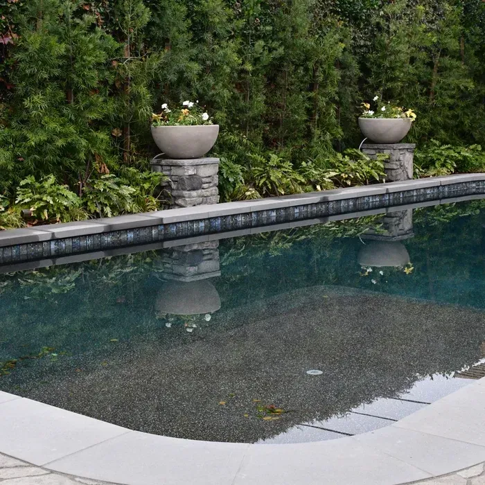 Backyard pool with dark water, stone border, and potted plants along a lush green hedge