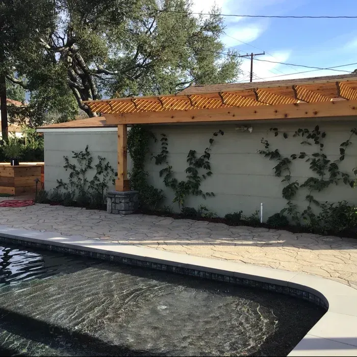 Backyard pool beside a stucco wall with vines and a wooden pergola