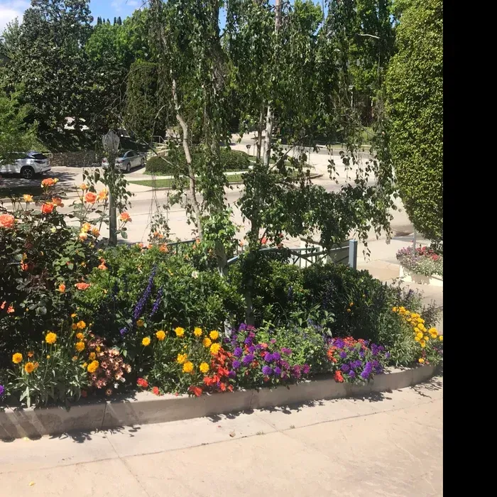 Colorful flower bed beside a walkway, with trees and a sunlit plaza in the background.