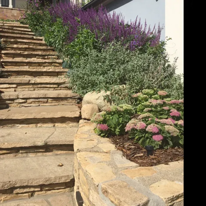 Stone steps beside a terraced garden with purple and pink flowers along a white wall