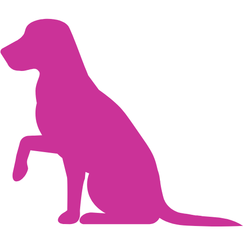 ic