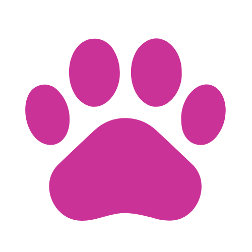 paws