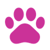 paws