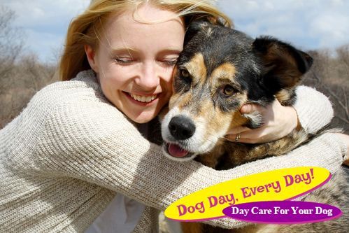 Close up of Woman Hugging German Shepherd Dog The Best Ways to Help Shelter Pets Without Adopting