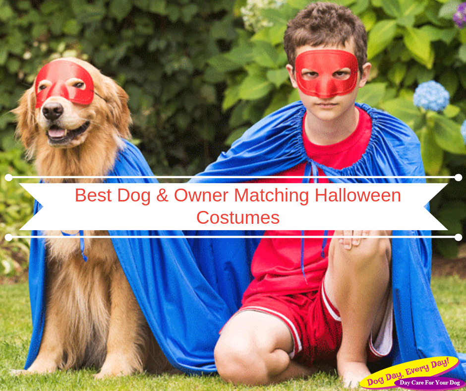 Matching-Dog-Owner-Halloween-Costumes Cutest Dog and Owner Couple Halloween Costumes 2018