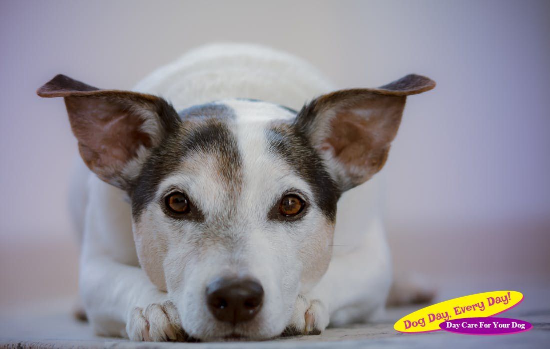 6 Great Ways to Donate to Your Local Cincinnati Shelter