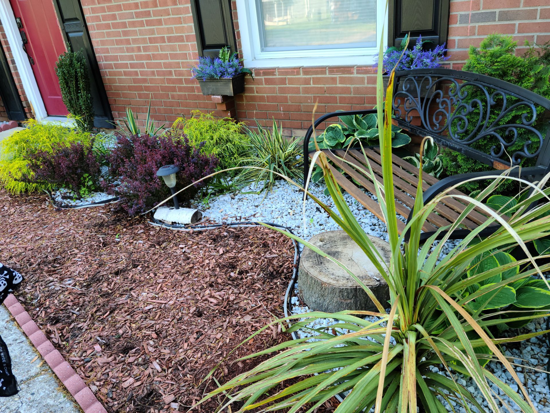 Front yard garden with mulch, white rocks, shrubs, and a large spiky plant by a brick house window
