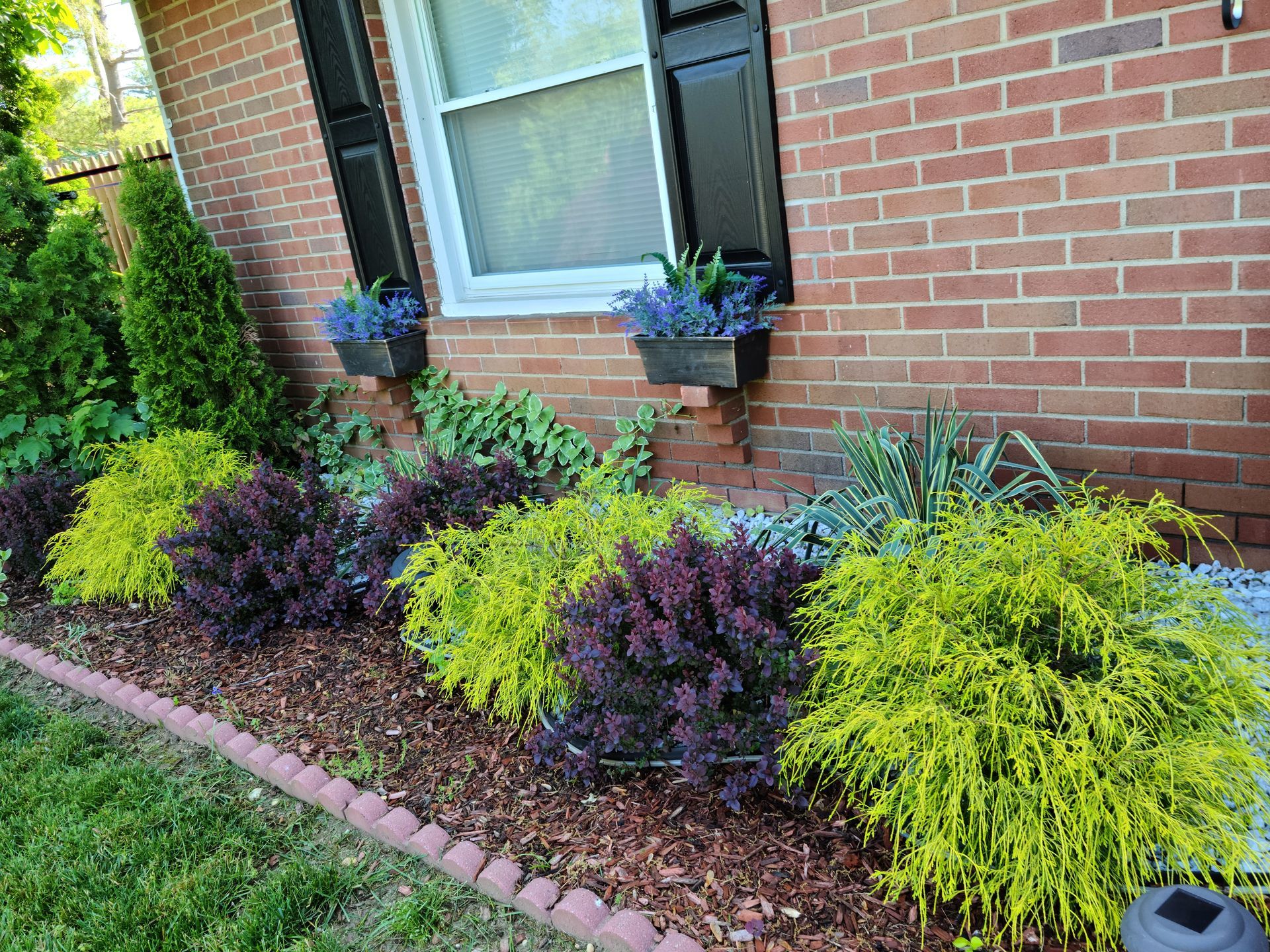 Brick house window with black shutters and flower boxes above a row of colorful shrubs in a garden bed