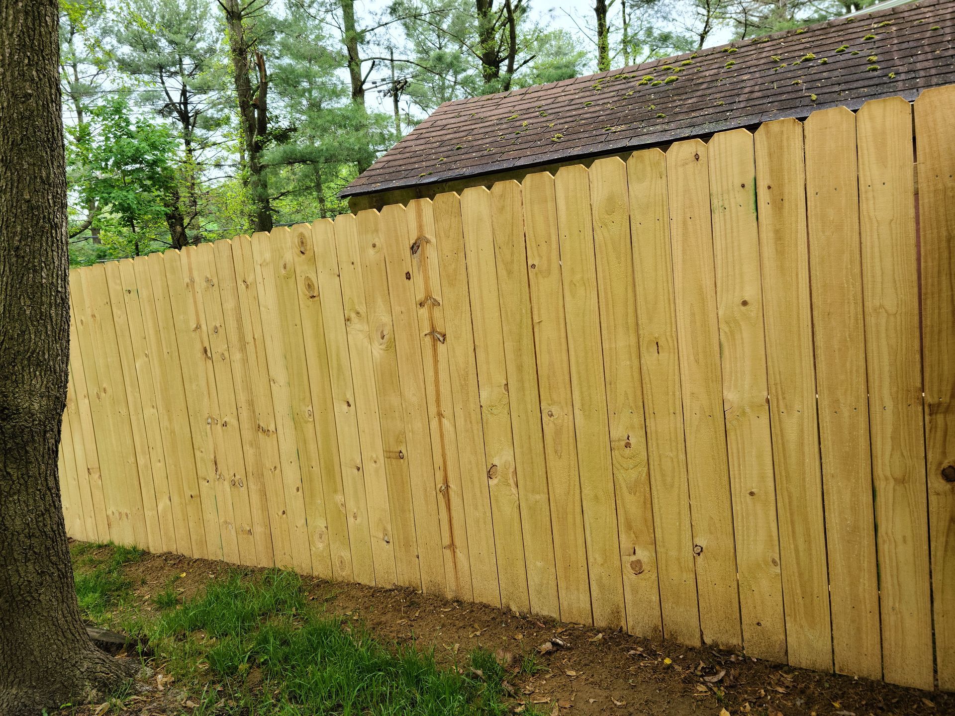 Wooden fence along a leafy yard beside a tree and a small shed roof