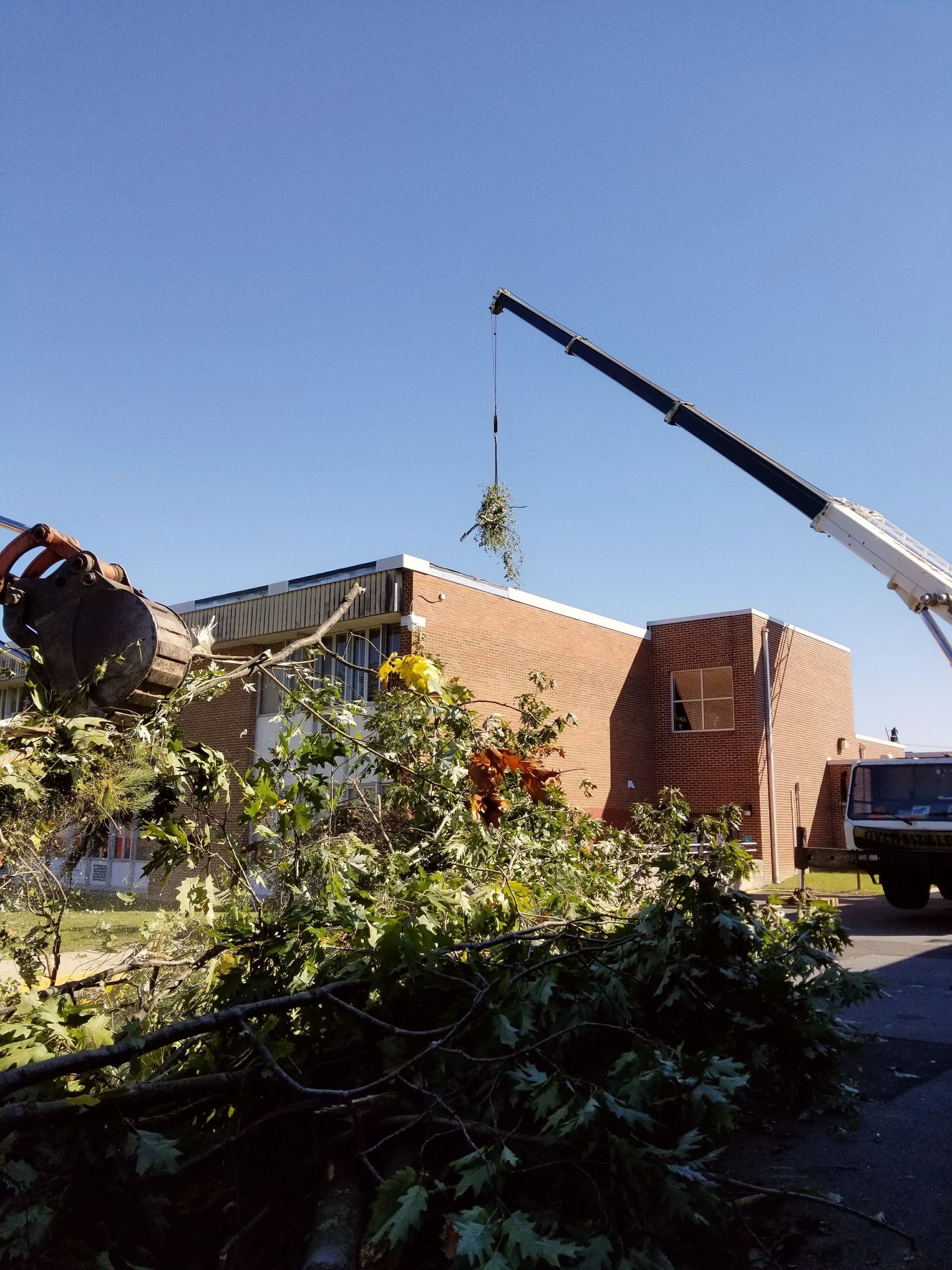 Workers using a crane to remove debris from a brick building with fallen branches in the foreground