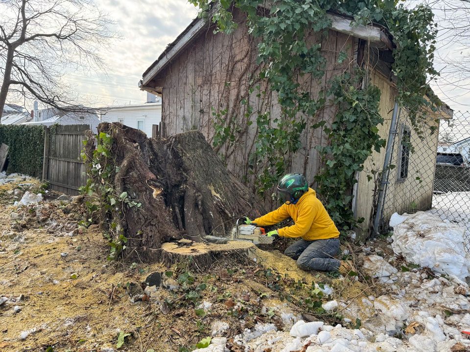 Person in a yellow jacket cutting wood beside a small ivy-covered shed in a snowy yard.