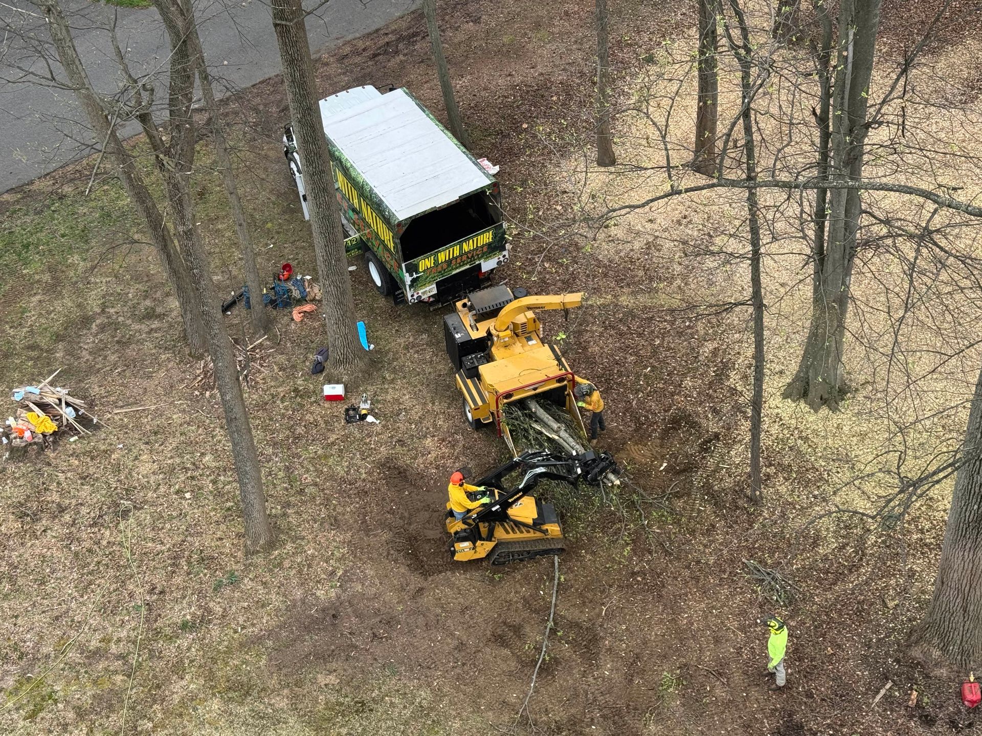 Tree-removal worksite with a truck, excavator, and workers in a wooded area