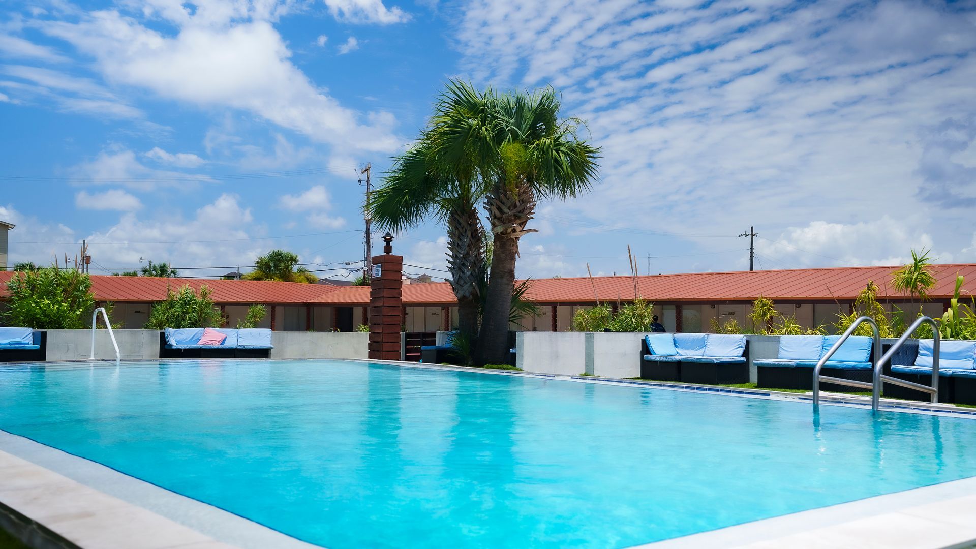 A large swimming pool with a palm tree in the background