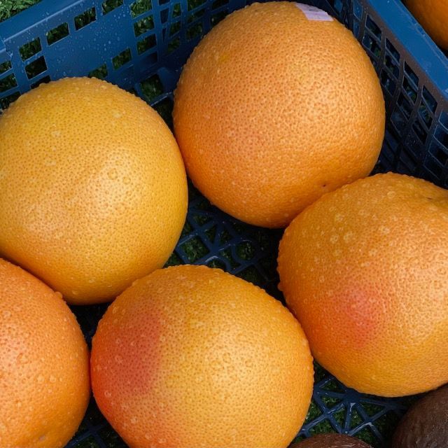 Grapefruit