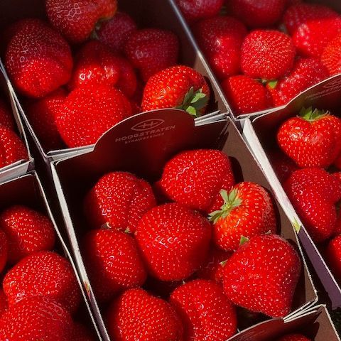 Strawberries