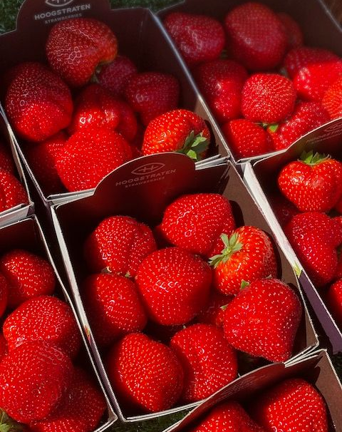 The Pie Shop Fresh Fruit & Vegetables