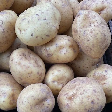 Baking Potatoes 