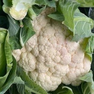 Cauliflowers