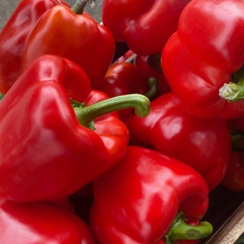 Red Peppers