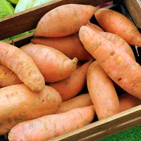 Sweet Potatoes 