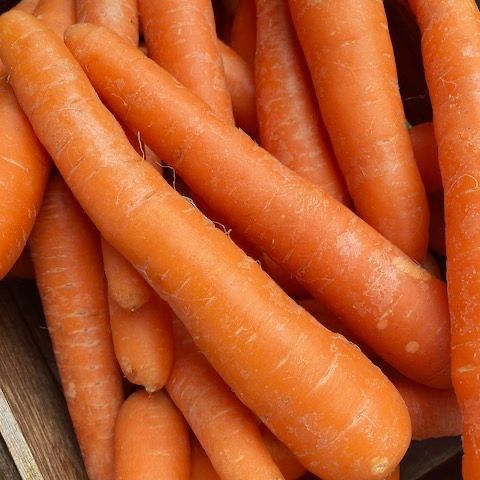 Carrots