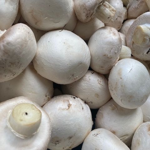 Button Mushrooms