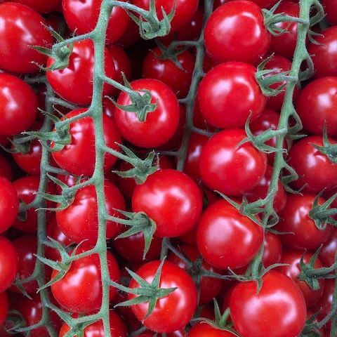 Cherry-Vine Tomatoes