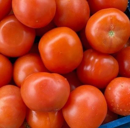 Salad Tomatoes