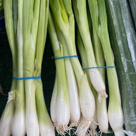 Spring Onions