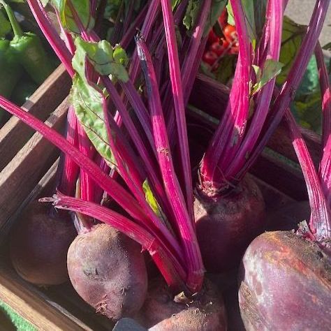 Beetroot