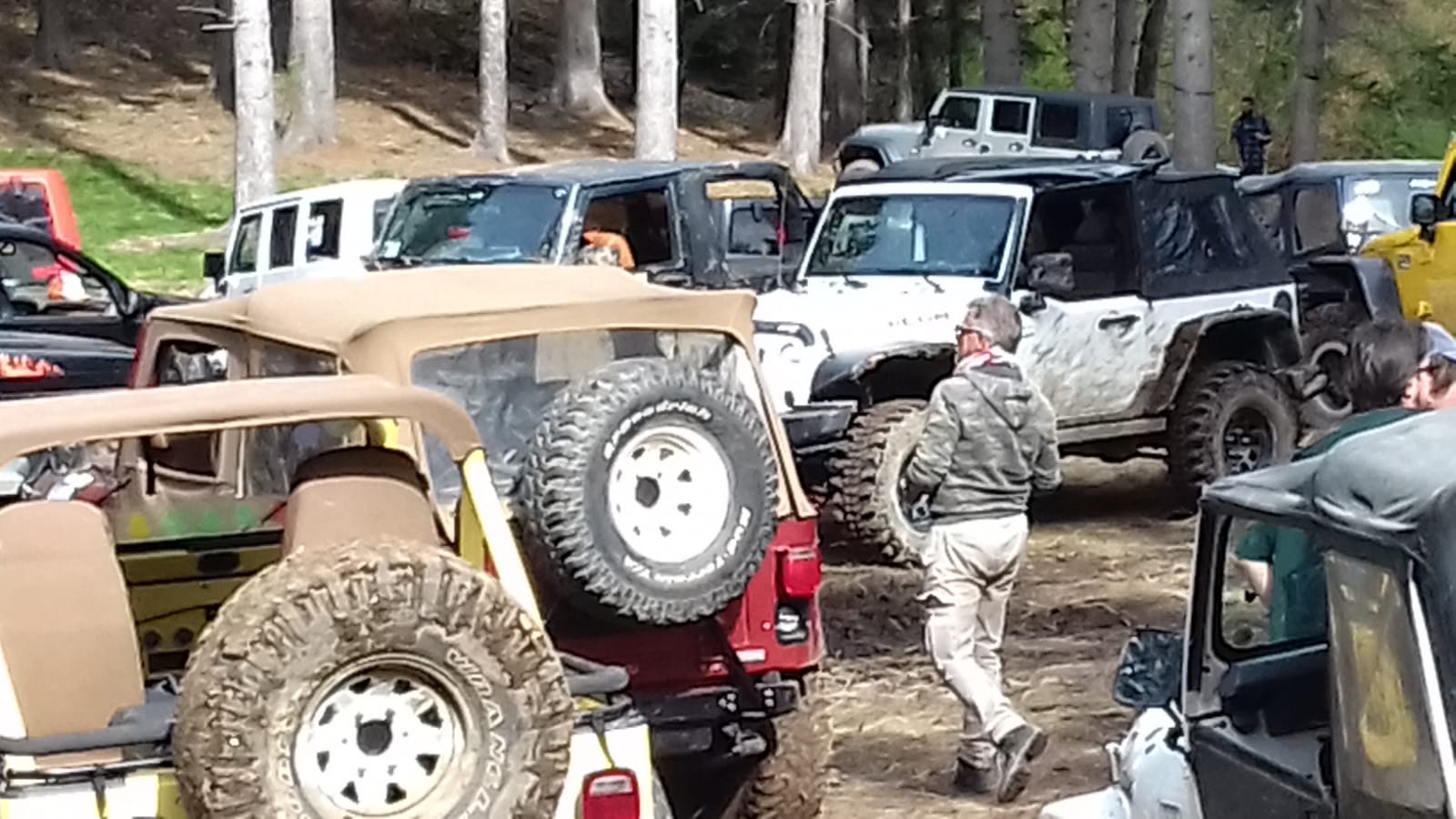 Jeep parcheggiate fuori strada, alcune con il tettuccio aperto, vicino agli alberi, persone nelle vicinanze, giornata di sole.