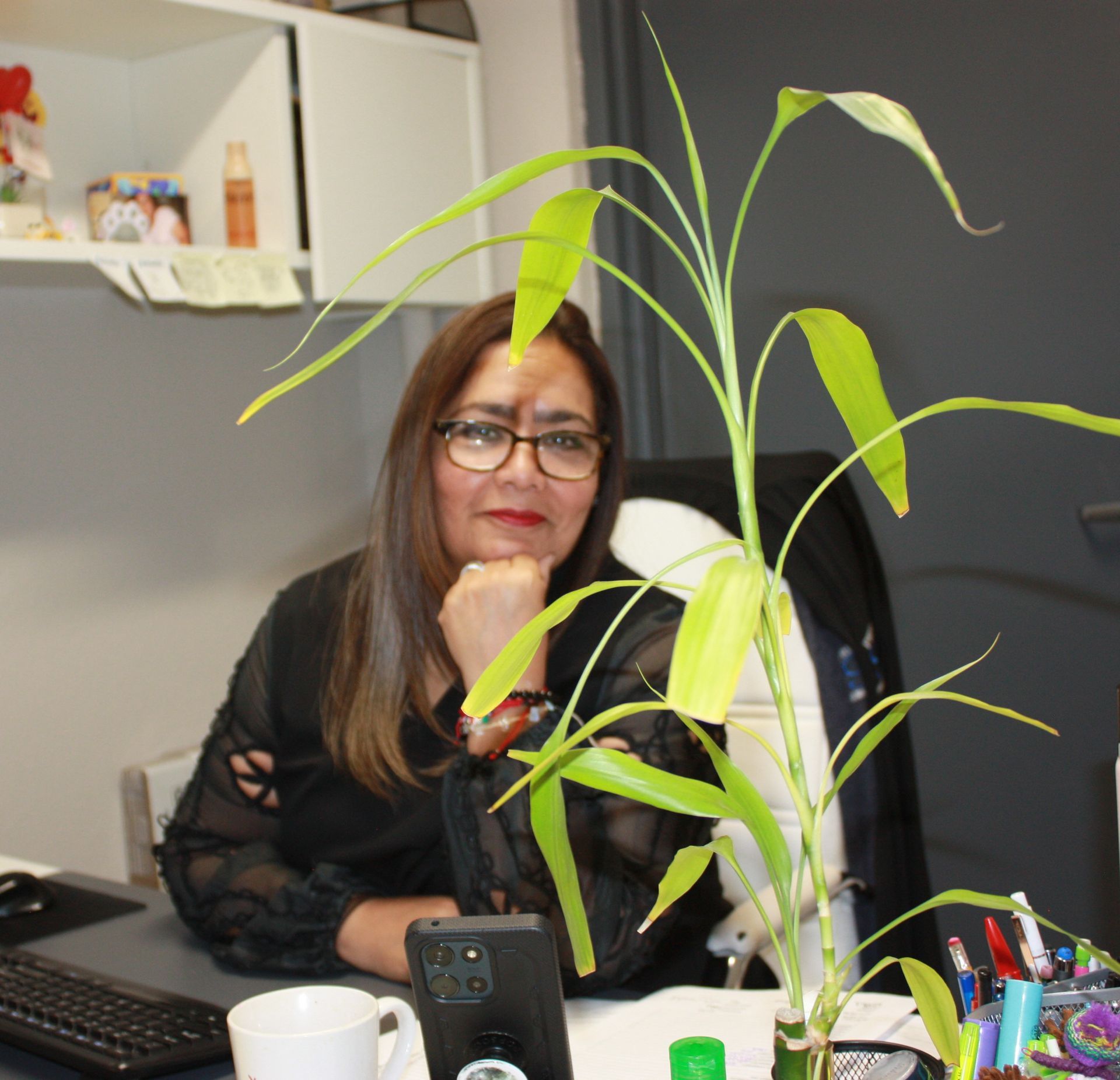 Sonia Martinez - El Paso, TX - Premier Insurance Services
