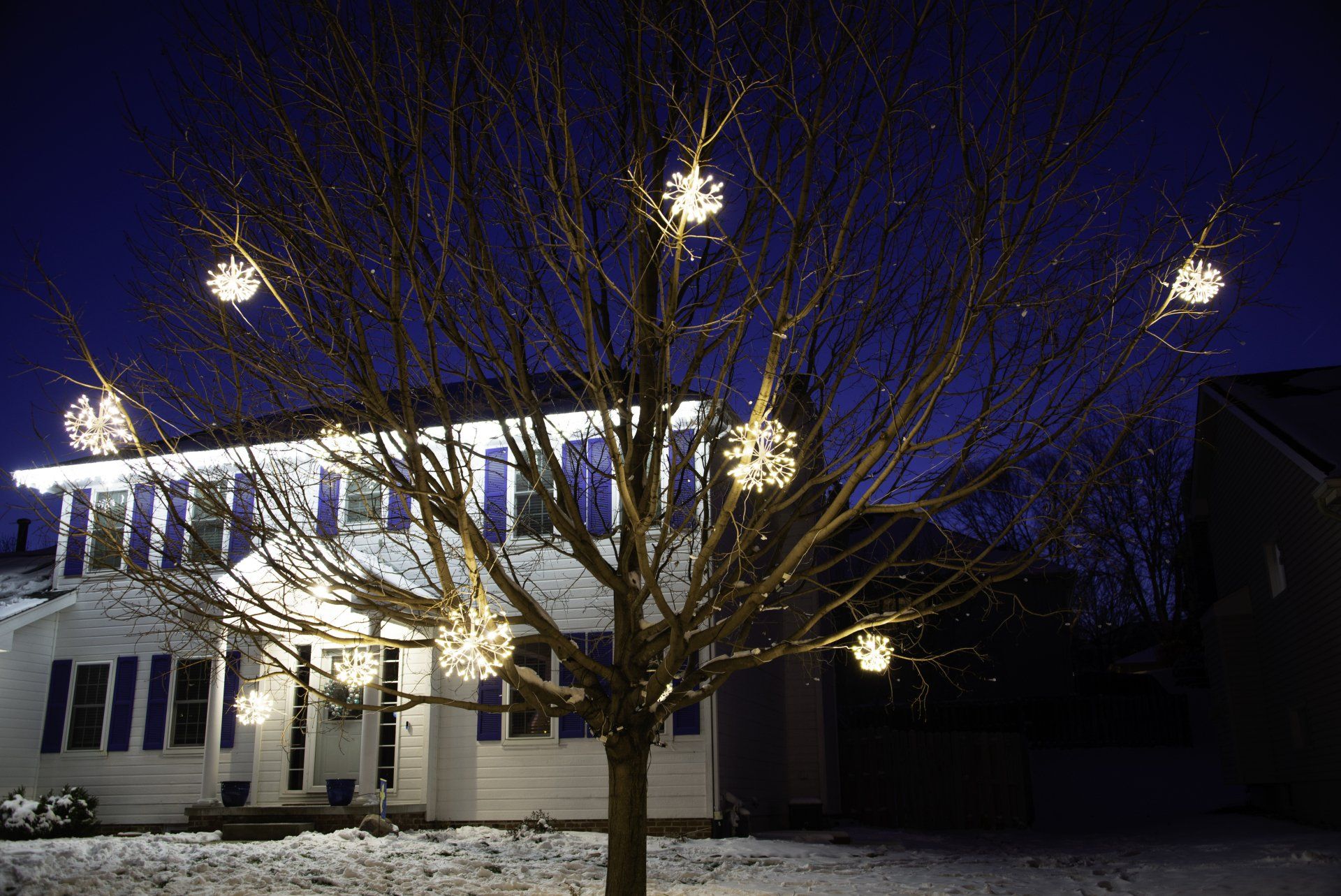 A house with christmas lights hanging from a tree in front of it.