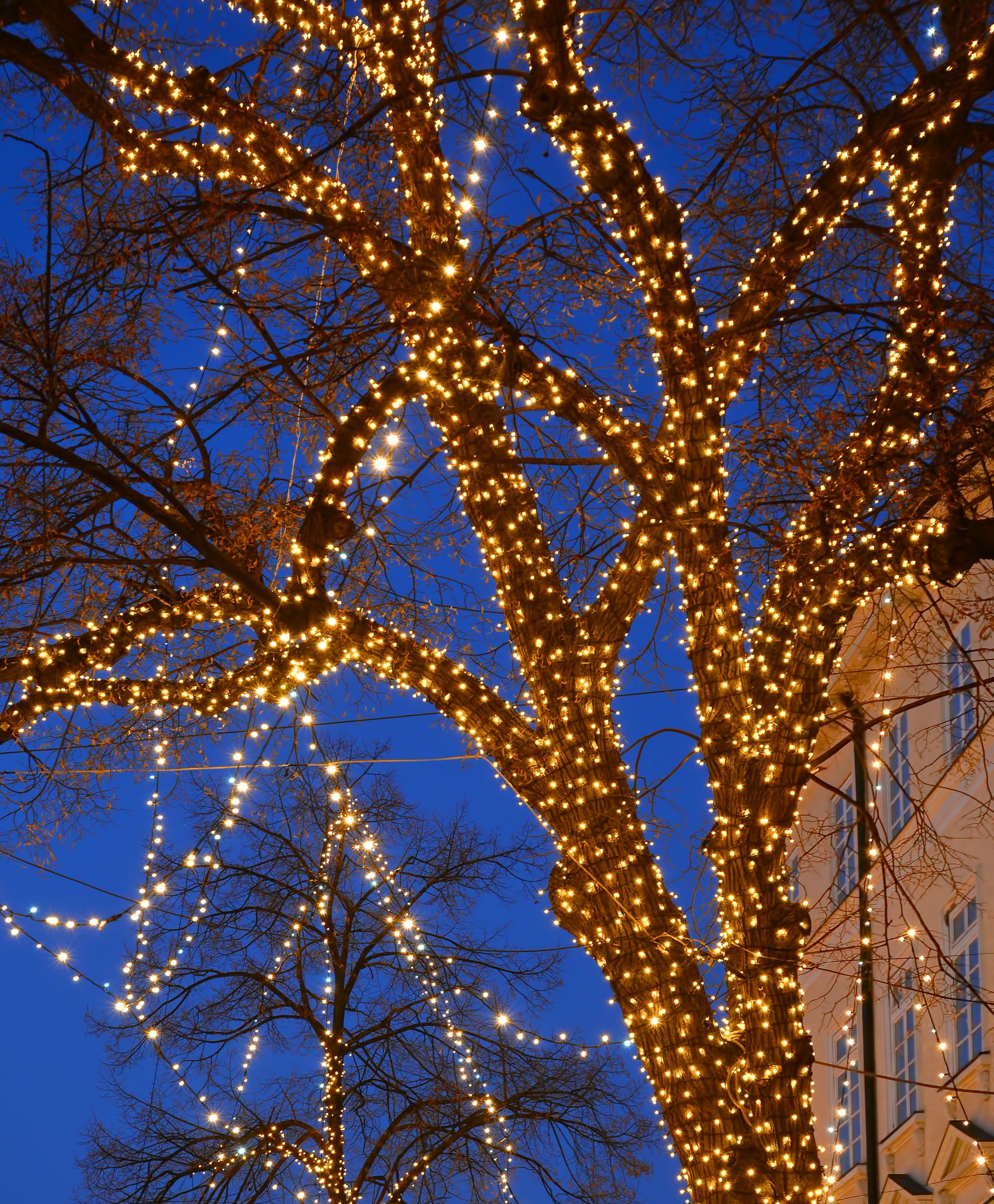 mini lights