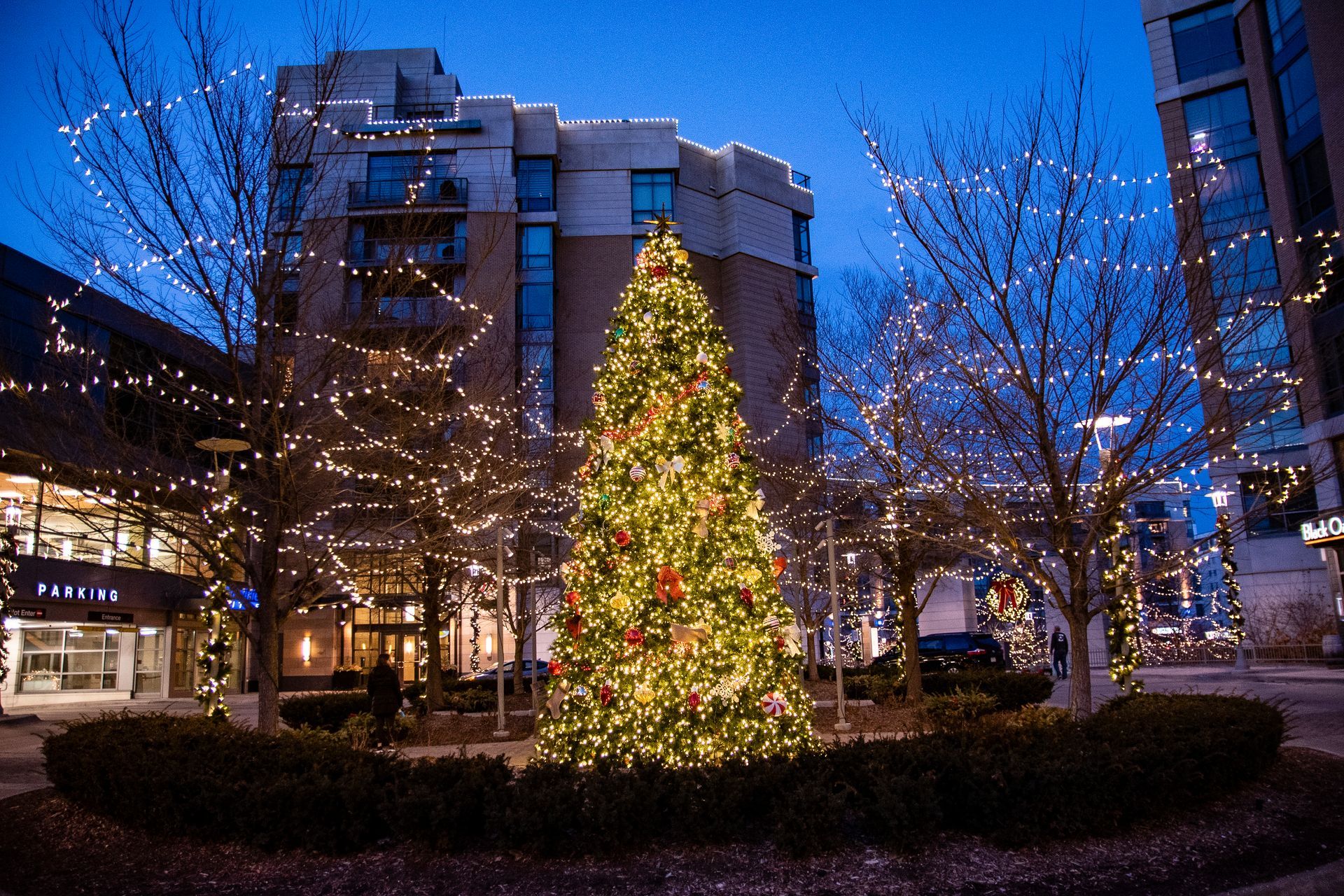 business christmas lights