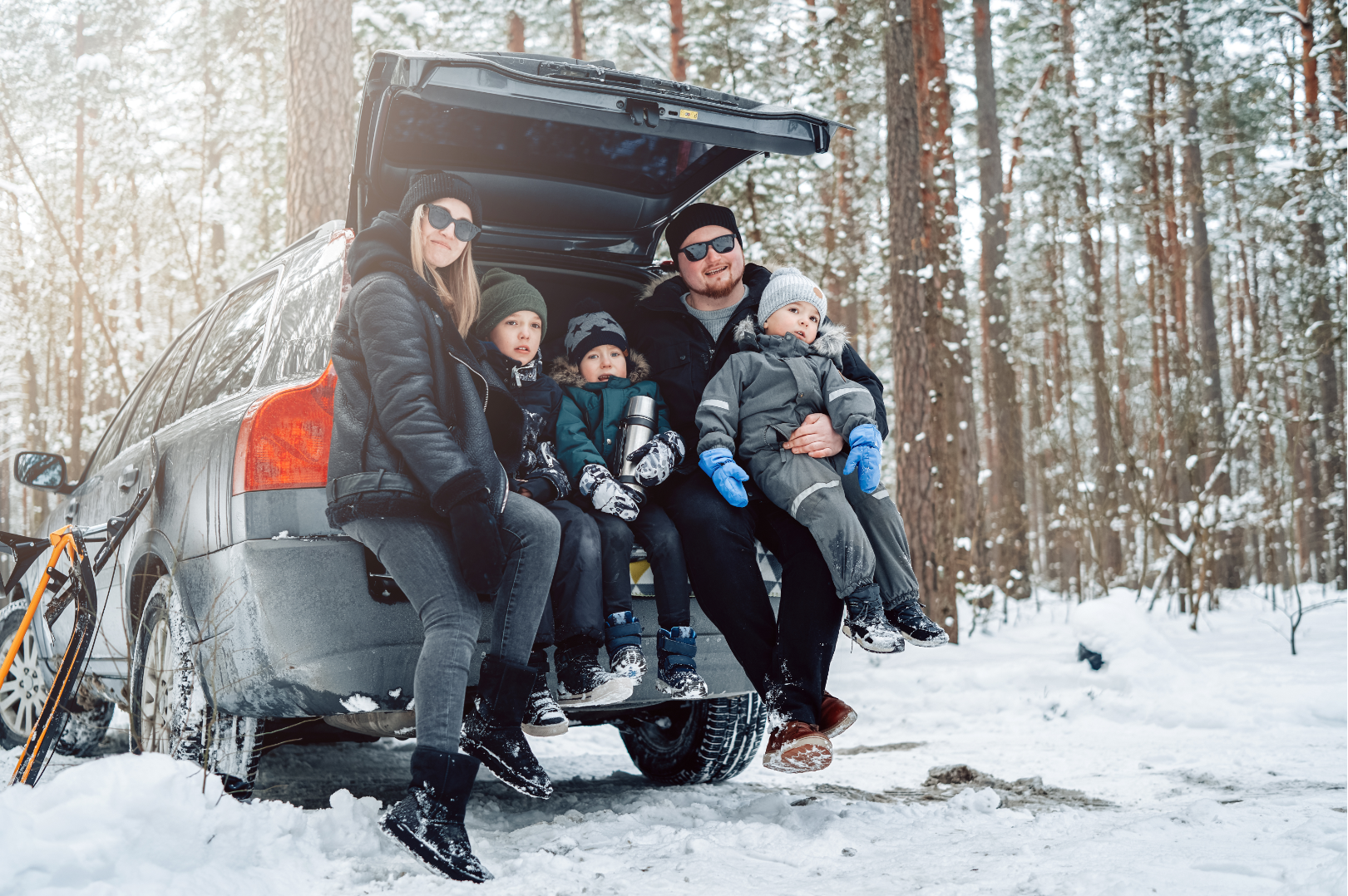 christmas tree farms minnesota