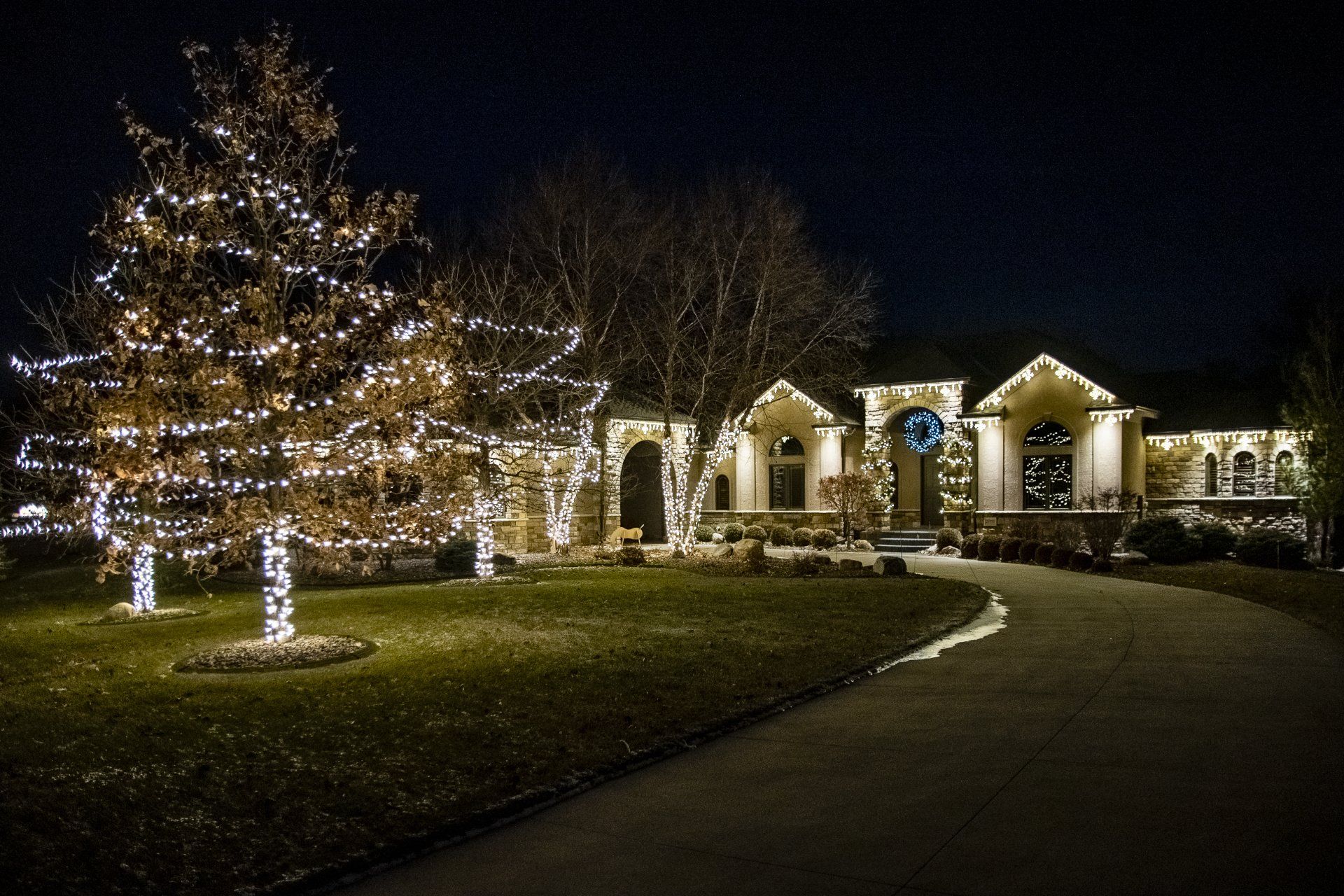 A house with christmas lights on the trees in front of it