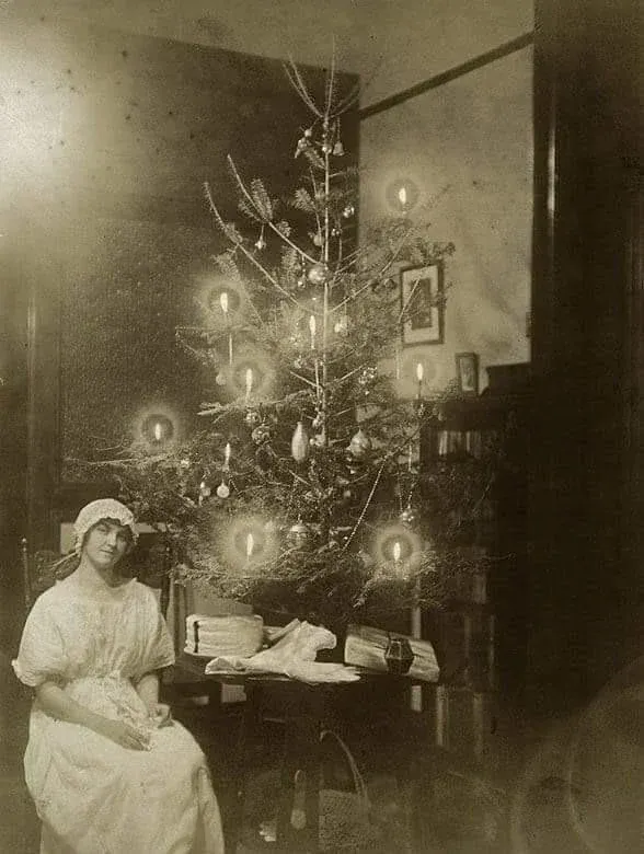 candle-lit tree