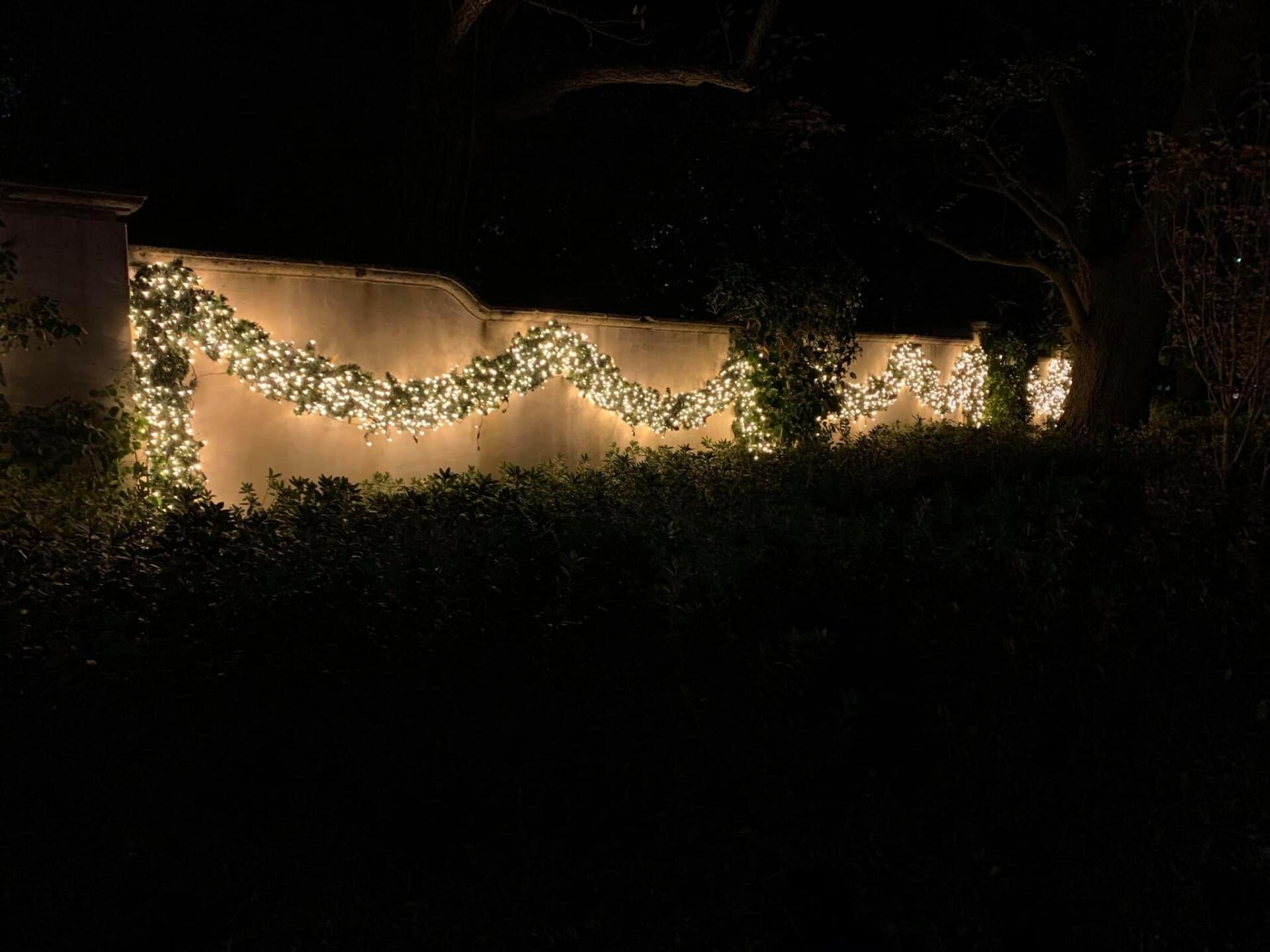 A fence is decorated with christmas lights at night.