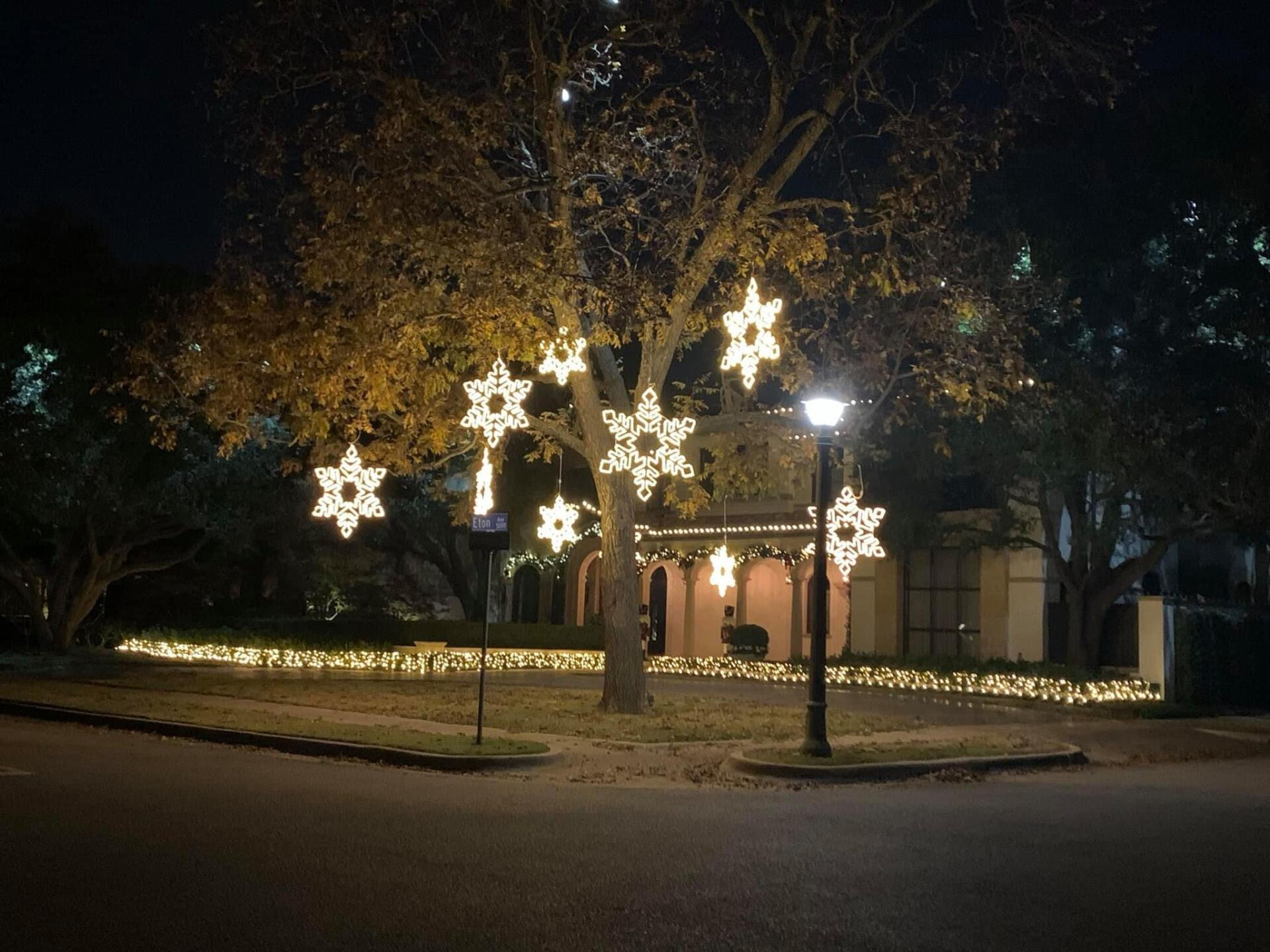 A house with christmas lights on the trees in front of it