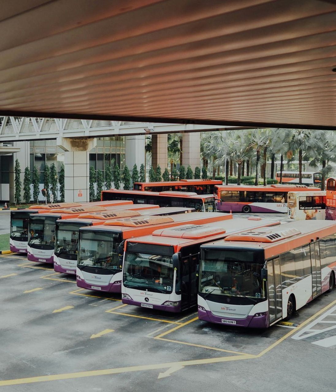 buses at a depot