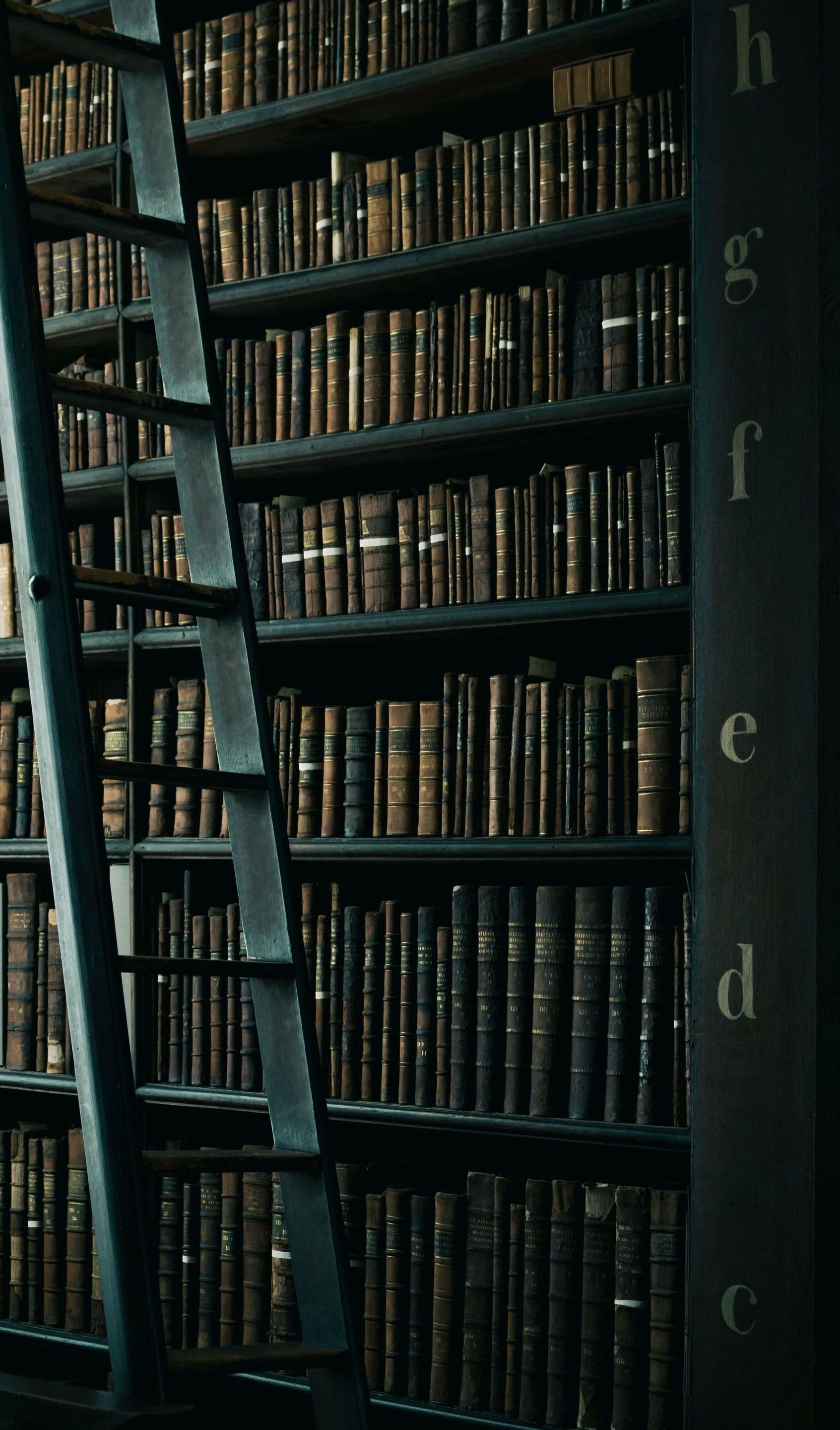 a library filled with lots of books and a ladder 