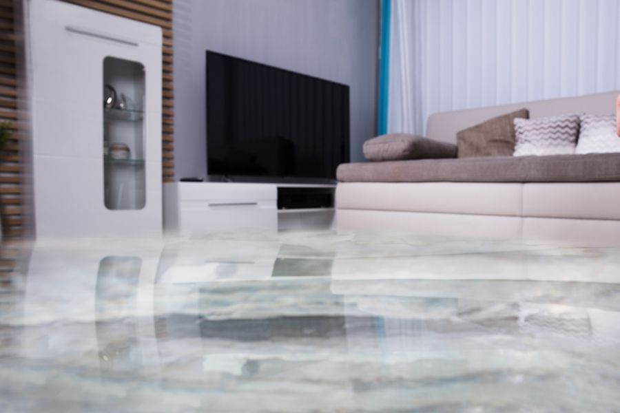 Standing water covering a living room floor near furniture in a Springfield MO home