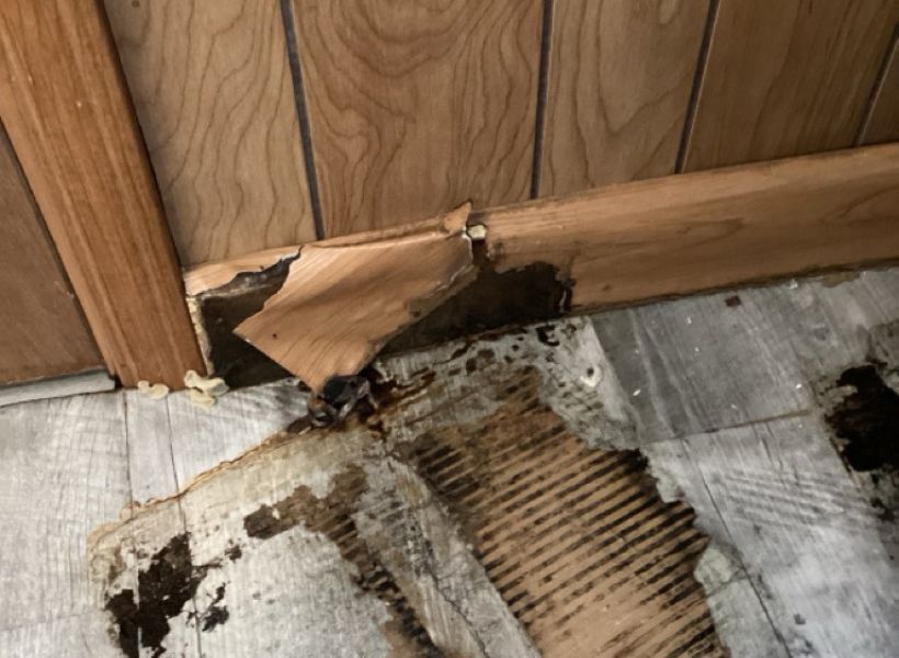 basement flooding