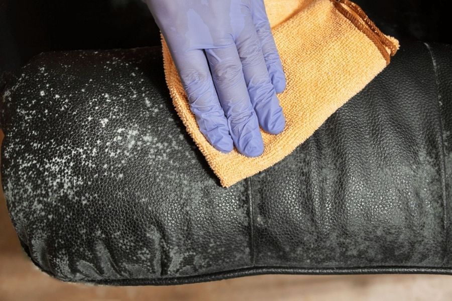 Professional couch and furniture cleaning service