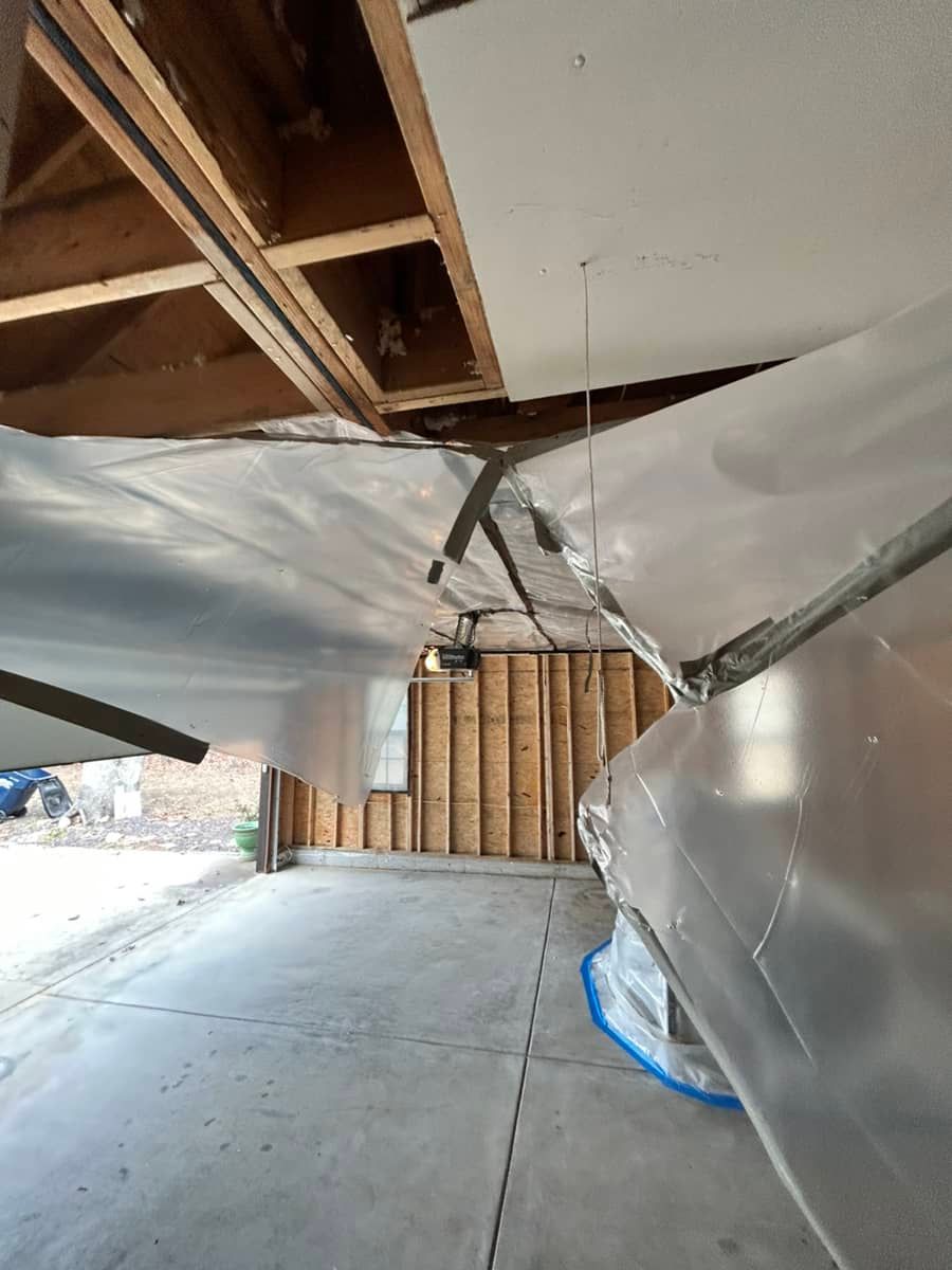 garbage mold contamination 