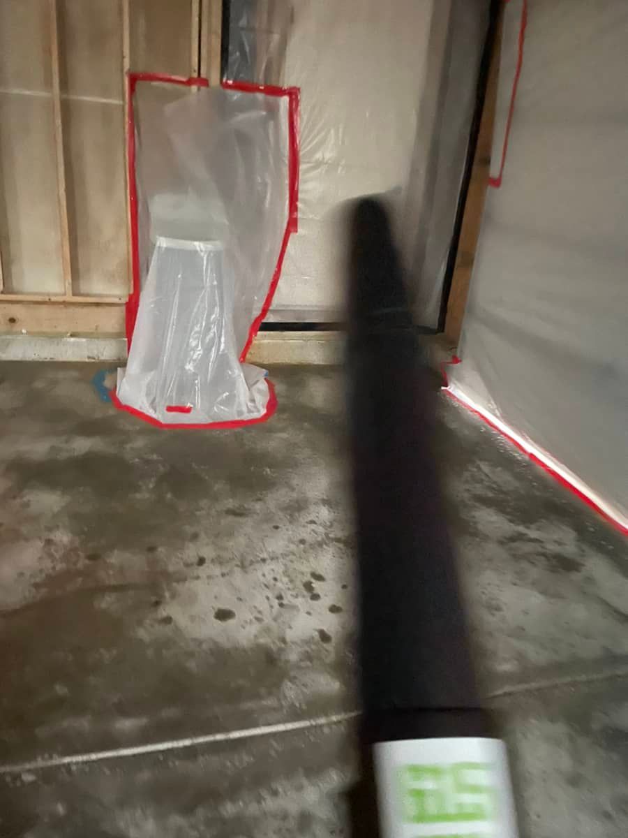 garbage mold contamination